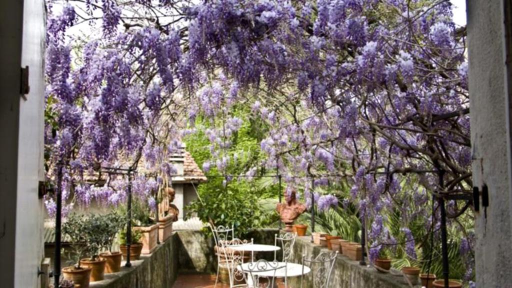 Locanda Sant' Agostino Lucca Exterior foto